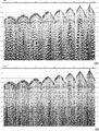 Figure 11.3-21  (a) The same shot record as in Figure 11.3-20b after deconvolution, and (b) time-variant spectral whitening. (Data courtesy Talisman Energy.)