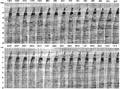 Figure 10.4-10  The West of Shetlands line: selected image gathers associated with the depth image from prestack depth migration shown in Figure 10.4-9.