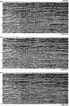 Figure 10.6-16  Part 2: Stacks of image gathers as in Figure 10.6-14 along selected crosslines from 3-D prestack depth migration.