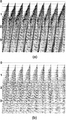 Figure 6.2-7  The CMP gathers from a shallow marine survey (a) before and (b) after f − k dip filtering implemented in the shot-gather domain to remove coherent linear noise. (These are the same data as in Figure 6.2-5.) (Data courtesy Deminex Petroleum.)