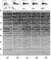 Figure 11.3-5  A portion of the time-migrated CMP stack after: (a) f − x deconvolution, (b) spiking deconvolution, (c) time-variant spectral whitening, (d) time-variant filtering, and (e) Karhunen-Loeve filtering. On top of each panel is the amplitude spectrum averaged over the shot record, and at the bottom is the autocorrelogram.