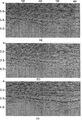 Figure 11.3-10  First portion of: (a) unmigrated CMP stack as in Figure 11.3-6; (b) migrated CMP stack as in Figure 11.3-7; (c) migrated CMP stack with a constant phase rotation of -90 degrees. A display gain has been applied to all three sections.