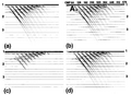 Figure 5.1-8 DMO processing of dipping events: (a) zero-offset section with the medium velocity of 3500 m/s; (b) stack using optimum velocity picks from velocity spectra along the line, such as that shown in Figure 5.1-12a; (c) stack using the medium velocity of 3500 m/s; (d) DMO stack using velocity picks from velocity spectra along the line, such as that shown in Figure 5.1-12b. Location A refers to an example of events with conflicting dips.