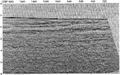 Figure 6.4-28  A CMP-stacked section without multiple attenuation. (Data courtesy BP-Amoco and Shell.)