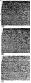 Figure 7.0-9  (a) Another inline stacked section from the same marine 3-D survey as in Figure 7.0-8, (b) 2-D migration, (c) 3-D migration. (Data courtesy Amoco Europe and West Africa, Inc.)