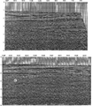 Figure 10.4-11  The West of Shetlands line: depth image from prestack depth migration shown in Figure 10.4-9 converted to time domain using the velocity-depth model shown in Figure 10.4-3. Poststack time-variant filtering and AGC scaling were applied. For event C, compare with Figure 10.4-2.