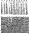 Figure 10.1-2  The Southern Gas Basin line: (a) selected CMP gathers; (b) CMP stack from the right-half of a 2-D line from the North Sea. Events E through K are segments associated with the base Zechstein.