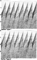 Figure 1.E-2  A field data set displayed in two different domains — common-shot and common-midpoint (see Exercise 1-12).