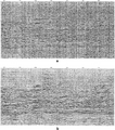 Figure 6.5-9  A CMP-stacked section (a) before, and (b) after f − x deconvolution.