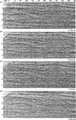 Figure 10.1-7  The Southern Gas Basin line: depth images from prestack depth migration for the left-half of the line as in Figure 10.1-1 using the four different earth models in Figure 10.1-4. See text for details.