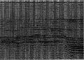 Figure 1.5-46  CMP stack as in Figure 1.5-45 with the additional step in the processing sequence for wide bandpass filtering of the prestack data.