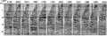 Figure 10.5-6  The Gulf of Thailand line: selected image gathers associated with the depth image from prestack depth migration shown in Figure 10.5-5.