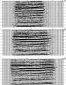 Figure 11.3-24  Part 1: Selected inline sections from the image volume derived from 3-D poststack time migration.