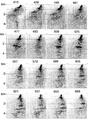 Figure 8.3-26  Part 2: Common-receiver gathers sorted from common-shot gathers after depth migration. The depth image obtained from shot-profile migration is shown in Figure 8.3-27.
