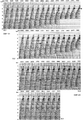 Figure 10.4-6  The West of Shetlands line: prestack depth migration velocity panels at midpoint 401 used in estimating the substratum model (the region below unconformity A in Figure 10.4-3). Shown here are the velocity panels associated with four velocity layers within the substratum — VL1, VL2, VL3, and VL4. The left-arrows ← denote the interval velocity-depth picks. See text for details.