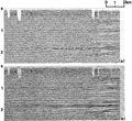 Figure 3.4-39  (a) A CMP stack with elevation statics corrections, (b) same as in (a) with residual statics corrections.