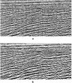 Figure 6.5-8  A CMP-stacked section (a) before, and (b) after f − x deconvolution.