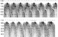Figure 8.3-23  Common-receiver gathers sorted from common-shot gathers after depth migration. The depth image obtained from shot-profile migration is shown in Figure 8.3-24.
