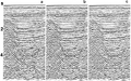 Figure 4.3-8  Tests for extrapolation depth step size in 15-degree finite-difference migration: (a) Desired migration using the phase-shift method, (b) 4-ms depth step, and (c) 20-ms depth step. The input CMP stack is shown in Figure 4.3-2a.