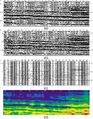 Figure 11.3-28  Cross-sections along inline 76 from (a) the image volume derived from 3-D poststack time migration, (b) the image volume after 90-degree phase rotation, (c) the sparse-spike reflectivity volume, and (d) the acoustic impedance volume.