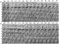Figure 10.4-13  The West of Shetlands line: selected image gathers associated with the depth image from prestack depth migration shown in Figure 10.4-12. Compare with the image gathers in Figure 10.4-10 derived from data with Radon-transform multiple attenuation.
