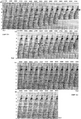 Figure 10.4-7  The West of Shetlands line: prestack depth migration velocity panels at midpoint 721 used in estimating the substratum model (the region below unconformity A in Figure 10.4-3). Shown here are the velocity panels associated with four velocity layers within the substratum — VL1, VL2, VL3, and VL4. The left-arrows ← denote the interval velocity-depth picks. See text for details.