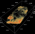 Figure 11.3-30  A 3-D view of the detrital sand level at approximately 850 ms from within the image volume derived from 3-D poststack time migration as in Figure 11.3-24. Red represents high amplitudes.