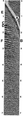 Figure 1.3-27  Worldwide assortment record 27. Identify the direct wave on this record.