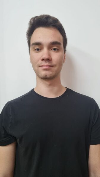 File:Vlad Catarig-Iancu.jpg