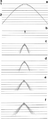 Figure 4.3-5  Tests for extrapolation depth step size in 15-degree finite-difference migration: (a) a zero-offset section that contains a diffraction hyperbola with 2500-m/s velocity, (b) desired migration; 15-degree finite-difference migration using (c) 4-ms (d) 8-ms, (e) 12-ms, and (f) 16-ms depth step.