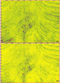 Figure 11.2-19  (a) Pseudo-Poisson and (b) fluid factor attribute sections derived by using equations (40) and (44), respectively.