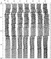 Figure 11.3-16  Part 2: Portion of the acoustic impedance section in Figure 11.3-13b around CMP 370 with constant phase rotations applied.