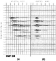 Figure 5.1-9 Velocity analysis (a) without and (b) with DMO correction at analysis. The stacked sections without and with DMO correction are shown in Figures 5.1-8b and d.