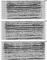 Figure 11.3-24  Part 2: Selected inline sections from the image volume derived from 3-D poststack time migration.