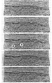 Figure 4.0-13  A portion of a CMP-stacked section after 3-D poststack time migration using, from top to bottom, 90, 95, 100, 105 and 110 percent of stacking velocities. Note the subtle under- and overmigration effects on dipping events below the major unconformity represented by the strong, near-horizontal reflection. Note the effect of velocities used in migration on the positioning of the event A dipping up to the left and event B dipping up to the right.