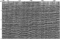 Figure 10.3-5  The Offshore Australia line: depth image from prestack depth migration using the velocity-depth model shown in Figure 10.3-4. Poststack spiking deconvolution, band-pass filtering and AGC scaling were applied.