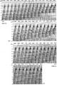 Figure 10.4-4  The West of Shetlands line: prestack depth migration velocity panels at midpoint 241 used in estimating the substratum model (the region below unconformity A in Figure 10.4-3). Shown here are the velocity panels associated with four velocity layers within the substratum — VL1, VL2, VL3, and VL4. The left-arrows ← denote the interval velocity-depth picks and the right-arrows → denote the rms velocity picks. See text for details.