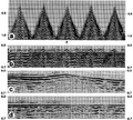 Figure 3.4-45  (a) Selected CMP gathers from the section in Figure 3.4-44, (b) CMP gathers after linear-moveout (LMO) correction, (c) stack of the LMO-corrected gathers as shown in (b), and (d) stack of the LMO-corrected gathers after long-period statics were removed; compare with (c).