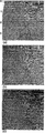 Figure 7.0-8  (a) An inline stacked section from a marine 3-D survey, (b) 2-D migration, (c) 3-D migration. (Data courtesy Amoco Europe and West Africa, Inc.)