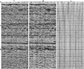 Figure 6.5-5  A portion of a CMP-stacked section (same as in Figure 6.5-4a) (a) before, and (b) after f − x deconvolution with 20 percent add-back, (c) the difference between (a) and (b).
