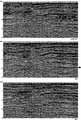 Figure 10.6-19  Part 1: Cross-sections of the earth image in depth along selected crosslines from 3-D prestack depth migration. The arrow indicates base Zechstein.