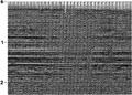 Figure 3.4-46  The CMP stack associated with the data in Figure 3.4-45 after refraction statics corrections. Compare with Figure 3.4-44.
