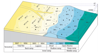 Figure 3: Kimmeridgian depositional setting for the Lower Saxony Basin (Zuo_etal_2018)