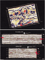 Figure 7.5-8  (a) A time slice, (b) a crossline, and (c) an inline from a 3-D volume of time-migrated data. (Interpretation by Elaine Hong; courtesy Paradigm Geophysical.)
