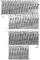 Figure 10.4-8  The West of Shetlands line: prestack depth migration velocity panels at midpoint 801 used in estimating the substratum model (the region below unconformity A in Figure 10.4-3). Shown here are the velocity panels associated with four velocity layers within the substratum — VL1, VL2, VL3, and VL4. The left-arrows ← denote the interval velocity-depth picks. See text for details.