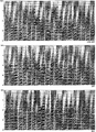 Figure 10.6-20  Part 2: Image gathers along selected crosslines as in Figure 10.6-19.