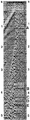 Figure 1.3-4  Worldwide assortment record 4. What is the cause of the energy preceding the first breaks?