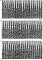 Figure 10.6-20  Part 1: Image gathers along selected crosslines as in Figure 10.6-19.