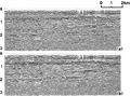 Figure 3.4-29  (a) A CMP stack with elevation statics corrections, (b) same as in (a) with residual statics corrections. (Data courtesy Nederlandse Aardolie Maatschappij B.V.)