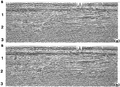Figure 3.4-32  (a) A CMP stack with refraction statics applied using the least-squares method (compare with Figures 3.4-29a and Figure 3.4-31a), (b) same as in (a) with residual statics corrections.